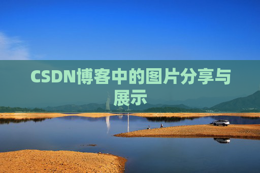 CSDN博客中的图片分享与展示